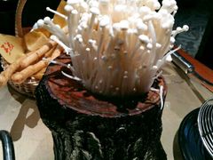 -手选潮汕鲜活牛肉火锅(二七广场店)