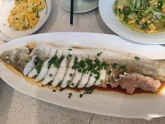 -船歌·鱼水饺青岛菜(金狮广场店)