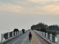 -贡湖湾湿地公园