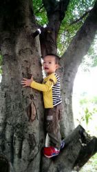 android_upload_pic-云湖游乐园