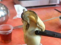 -蚝乡农庄(铁涌赤岸店)