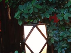 -颐和•海鲜砂锅粥•啫啫煲(奥林匹克广场店)