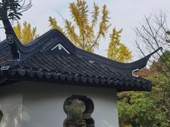 -秋霞圃