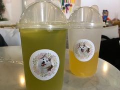 -Husky Go! 哈士奇体验馆·宠物咖啡厅狗咖