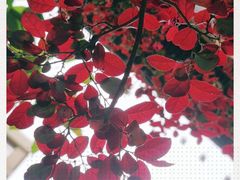 -HAPPEN(江川东路店)