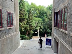 -武汉大学-樱园