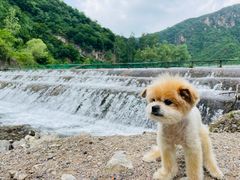 -百里山水画廊
