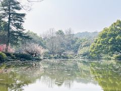 -杭州植物园