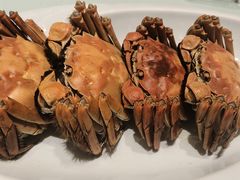 -扬州狮子楼·非遗淮扬菜(总店)