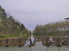 -合肥滨湖国家森林公园