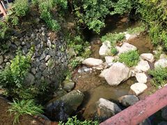 -藏龙百瀑风景区