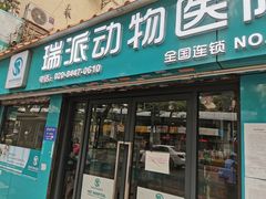 -瑞派动物医院·绝育·犬猫全科·预防医学(光景江南中店)