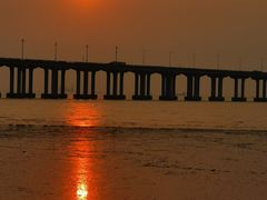 -宝安西湾红树林湿地公园