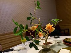 -西安饭庄(立丰国际店)