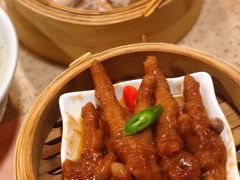 百合酱蒸凤爪-点都德(大茶楼店)