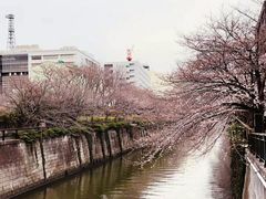 -成都濑川外国语学校