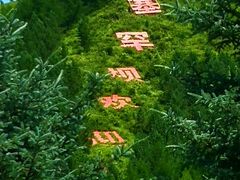 -塞罕坝国家级自然保护区