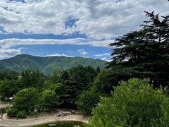 -国家植物园南园