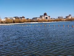 -莲花池公园