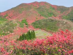 -大围山国家森林公园