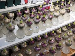 -山东嘉汇文化用品有限公司张店凤凰国际分公司(新村西路店)