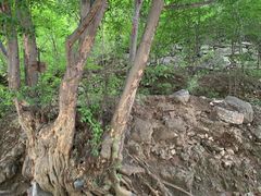 -孤山寨风景区