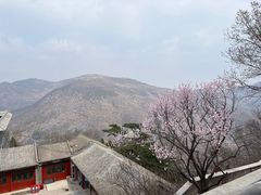 -妙峰山风景名胜区