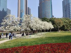-陆家嘴中心绿地