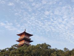 -香市公园-中国沉香文化博物馆