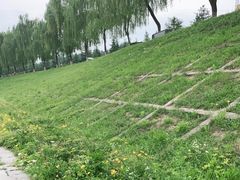 -洨河生态公园
