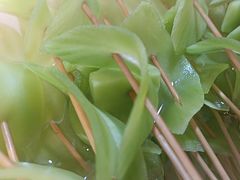 -阿串串老火锅(力盟店)