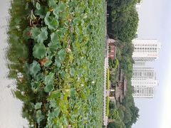 -建水文庙
