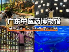-广东中医药博物馆