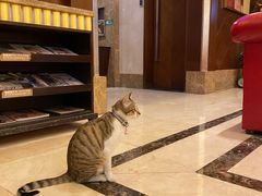 -钱柜音乐会所(罗湖店)