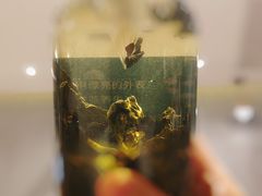 清心乌龙-奈雪的茶(石家庄万象城店)