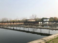 -特种渔场