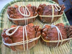 -蟹天蟹地农家菜·阳澄湖大闸蟹(浅水湾店)
