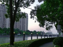 -陈家山荷花公园