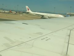 -粤凤佬