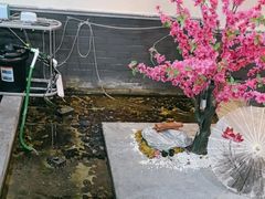 -秦汉胡同古筝围棋国学书院(罗湖分馆)