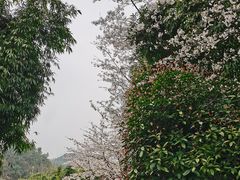 -贵阳市花溪国家城市湿地公园