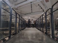 -一棠龙虾•王牌虾球(楚河汉街店)