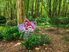 -上海共青森林公园