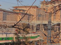 -莲花池公园