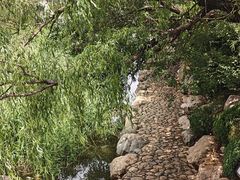 -大连植物园