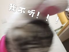 -MAX伯爵沉浸式超级游戏体验馆·实景桌游·剧本杀(小时代店)