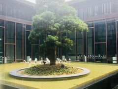 -上海崇明金茂凯悦酒店