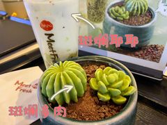 -鲜芋仙MeetFresh(万达店)