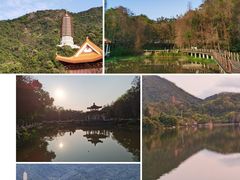 -深圳市中科院仙湖植物园