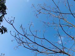 -杭州半山国家森林公园